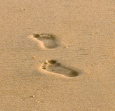 Footprint_small