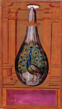 Peacock_Tail