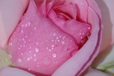 Premišljevanje o resnici